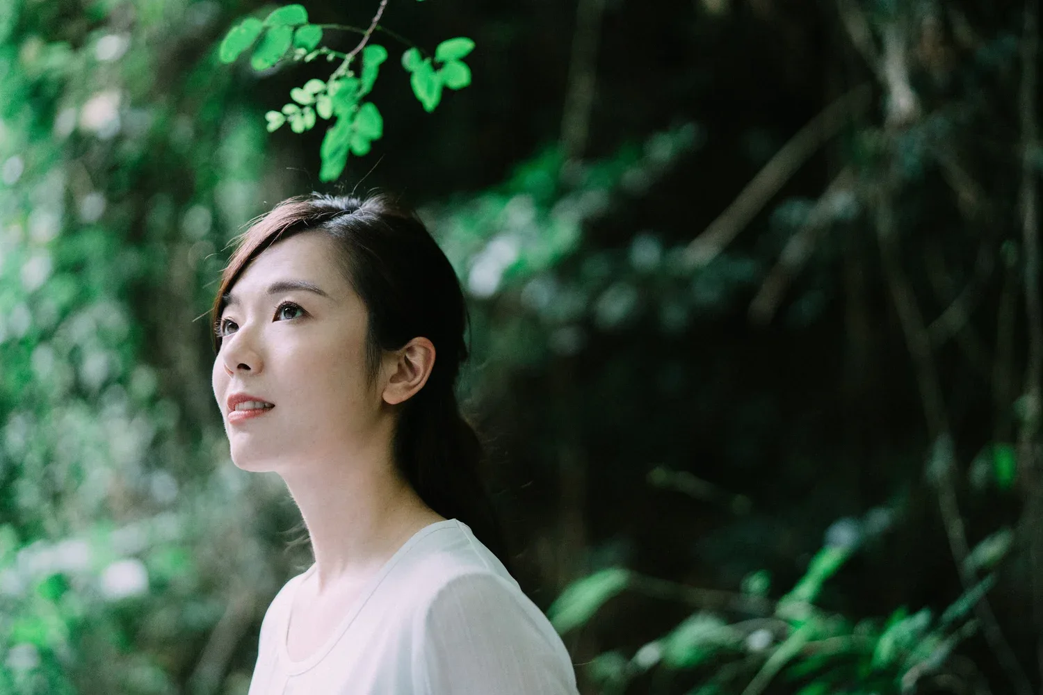 樹蔭下的新娘抬頭望向光線,綠葉圍在身後